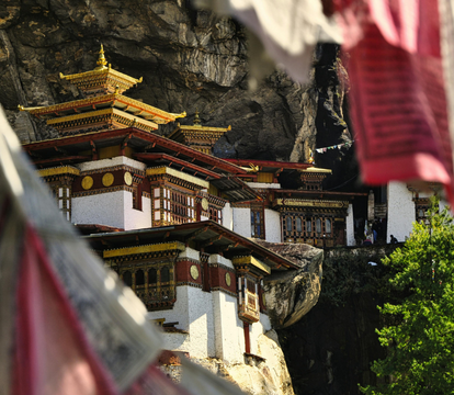 (414 x 360 像素) (1)