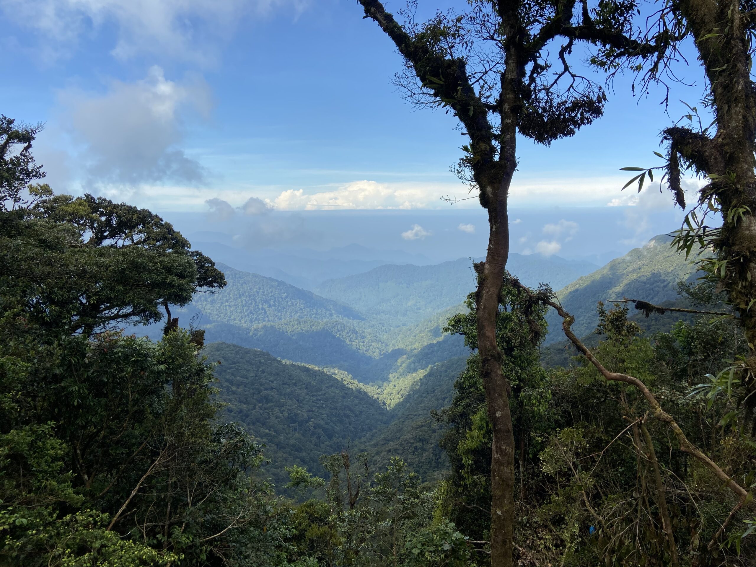 Moments photo 14 3 22, 10 10 36 am