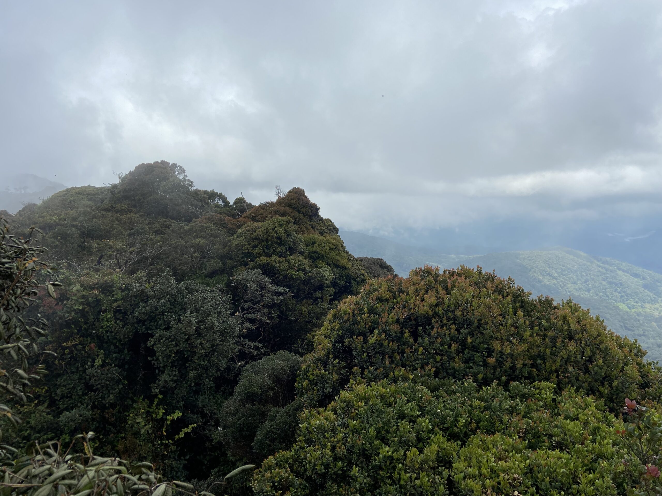 Moments photo 14 3 22, 12 33 16 pm