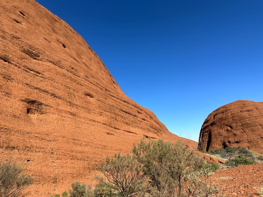 Moments whatsapp image 2023 07 06 at 6.42.52 pm