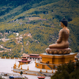 正念app资料库 (800 x 800 像素) (512 x 512 像素) (414 x 670 像素) (300 x 300 像素)